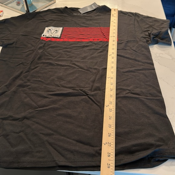 New Dodge Ram T - Picture 4 of 5